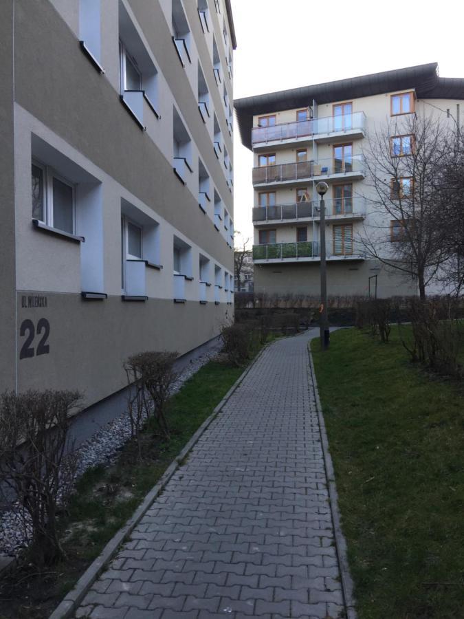 Wilenska Srodmiescie Apartment Krakau